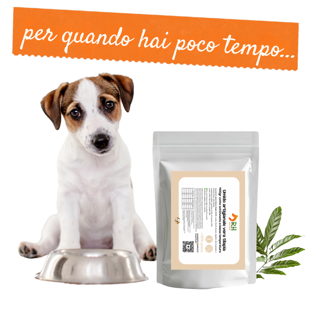 Casalinga cotta Merluzzo (no frigo) sottovuoto per cani - benefici