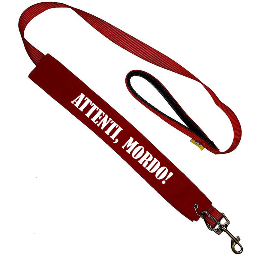 Messaggi da Guinzaglio Artigianali di Fiorina Sarzana