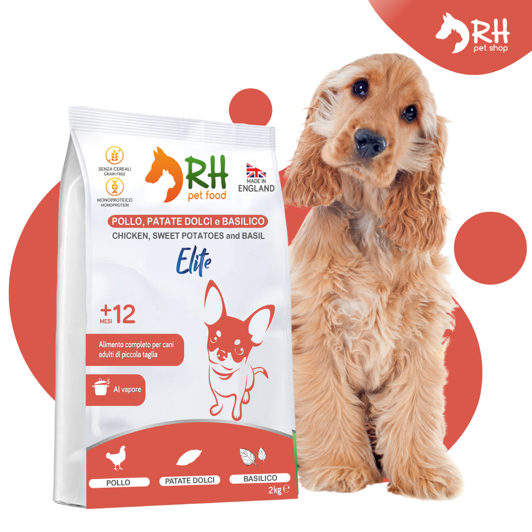 Pollo, patate dolci e basilico mini Elite plus