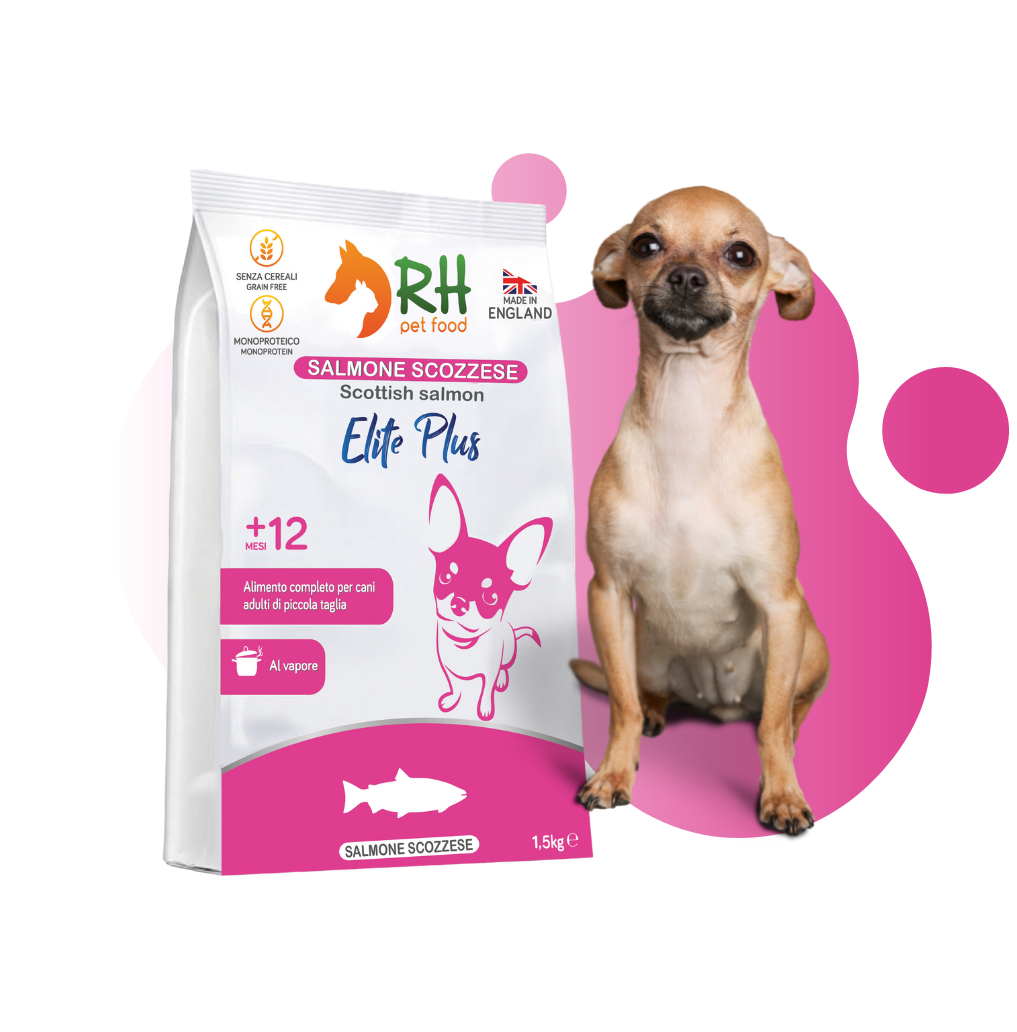Salmone Scozzese mini Elite plus