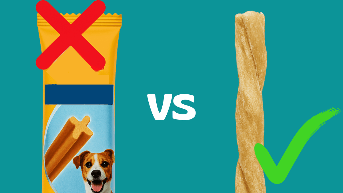Perché i dentastick fanno male al tuo cane! ( alternative naturali)