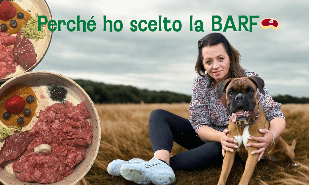 🌿 Perché ho scelto la BARF per i miei cani: la nostra storia