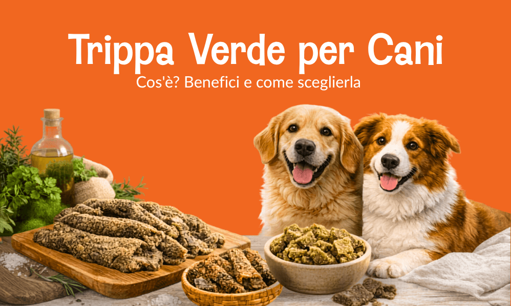 Trippa Verde per Cani: Cos'è? Benefici e come sceglierla. Meglio trippa di manzo o agnello?