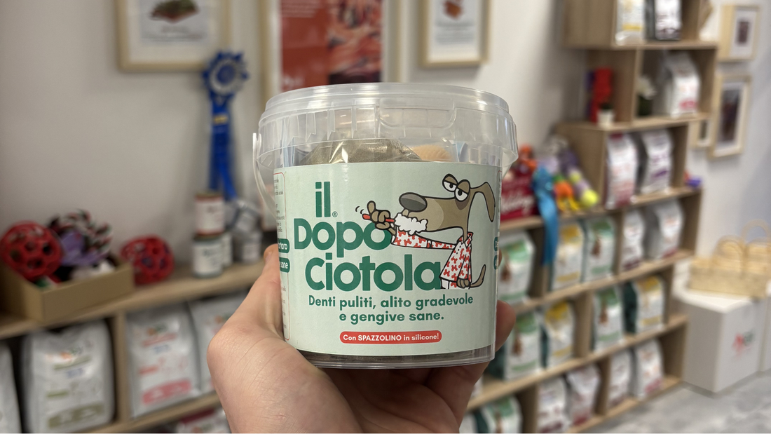 Ascophyllum Nodosum per cani e gatti: funziona davvero contro placca e tartaro?