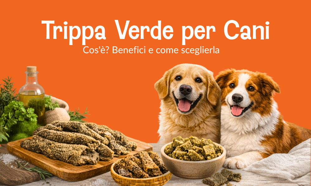 Trippa Verde per Cani: Cos'è? Benefici e come sceglierla. Meglio trippa di manzo o agnello?