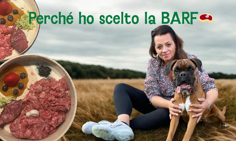 🌿 Perché ho scelto la BARF per i miei cani: la nostra storia