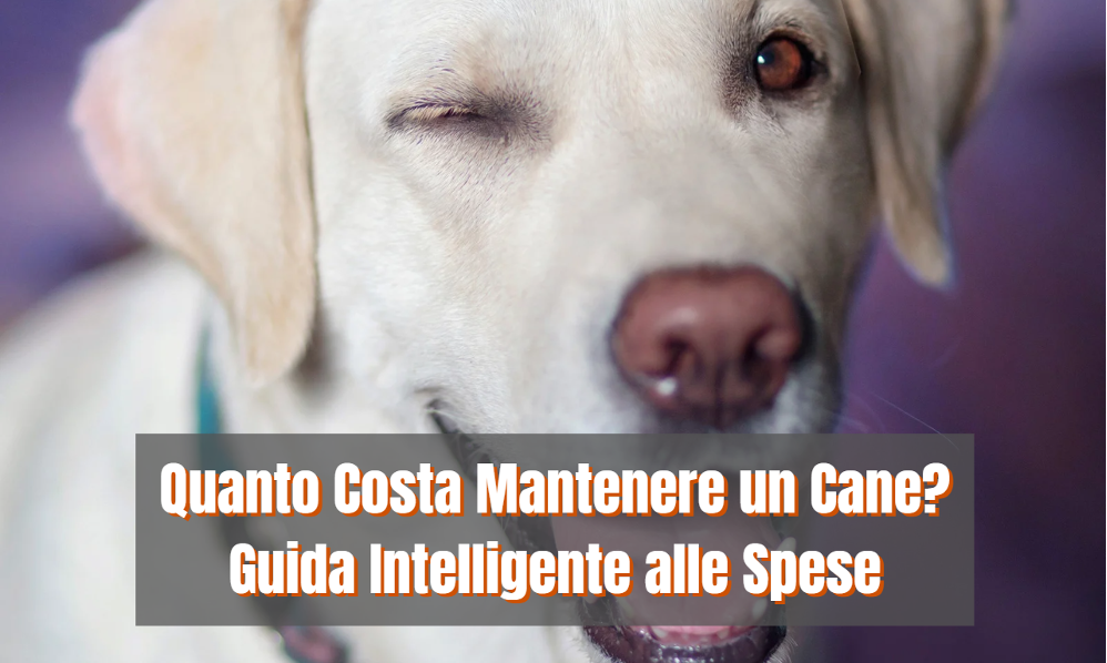 Quanto costa Mantenere un Cane? Guida Intelligente alle Spese