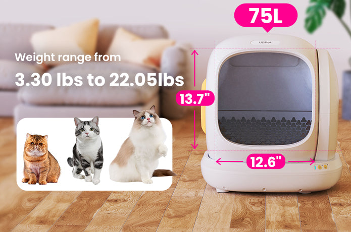 Lettiera Automatica C20