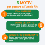 Cibo umido al naturale per gatti