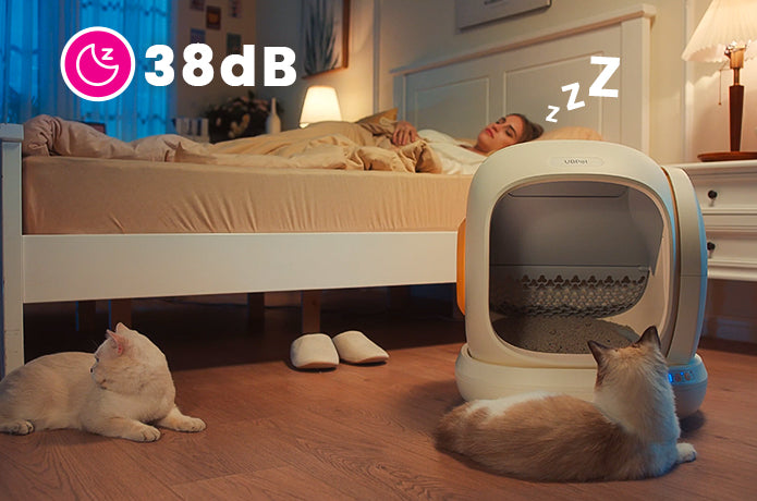 Lettiera Automatica C20