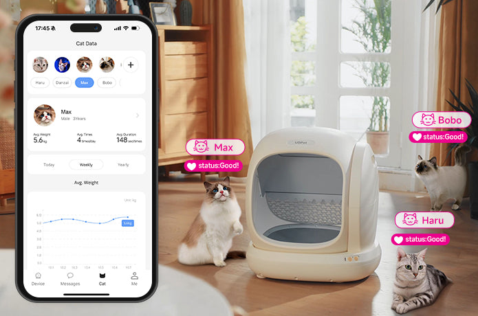 Lettiera Automatica C20