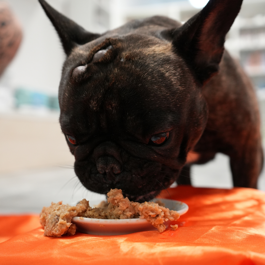 Pack Degustazione Casalinga Cotta 3.2kg