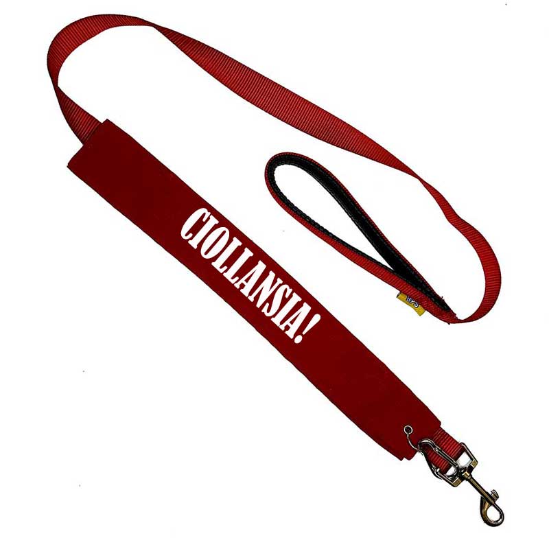 Messaggi da Guinzaglio Artigianali di Fiorina Sarzana