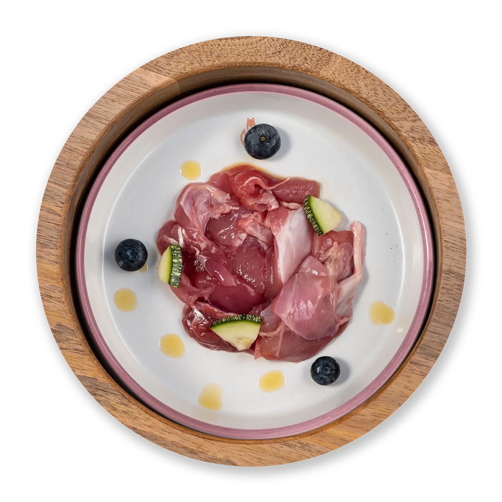 Promozione BARF per cani e gatti