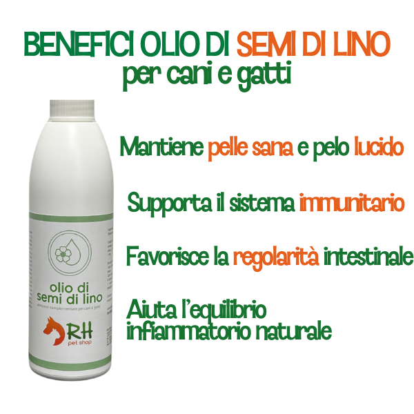 Olio Semi di Lino