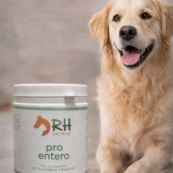 Pro Entero – Integratore Intestinale con Fermenti Lattici