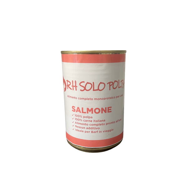 RH Solo Polpa lattine 400gr