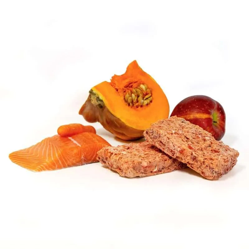 Menù BARF Vellutata Salmone 4kg