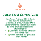 Macino di Maiale BARF Dottor Fox