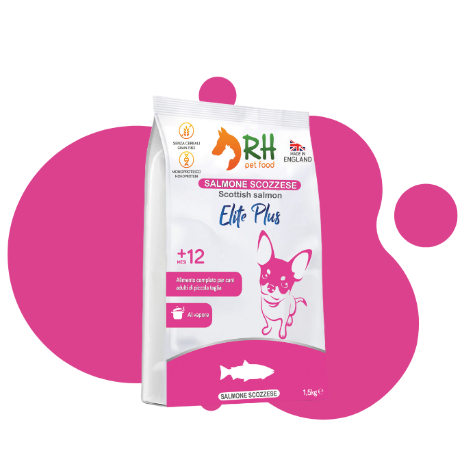 Salmone Scozzese mini Elite plus