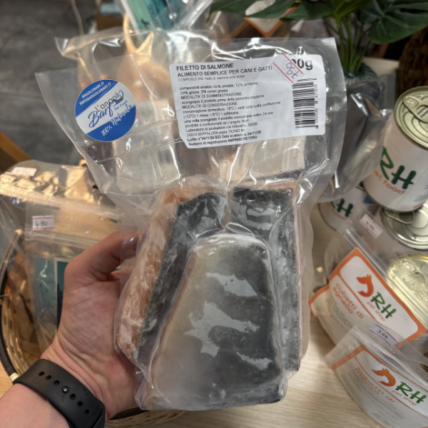 Filetti di Salmone Angolo Barf