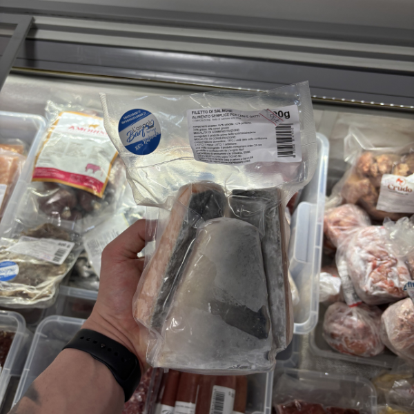 Filetti di Salmone Angolo Barf