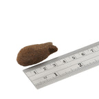 Bocconcini di sgombro 225gr