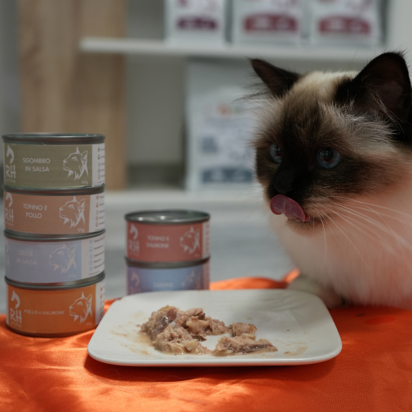 Cibo umido al naturale per gatti