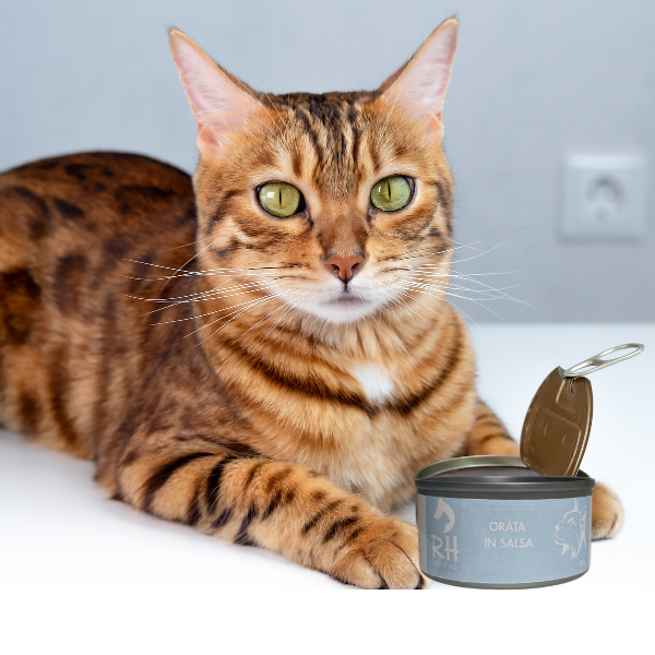 Cibo umido al naturale per gatti - benefici