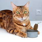 Cibo umido al naturale per gatti