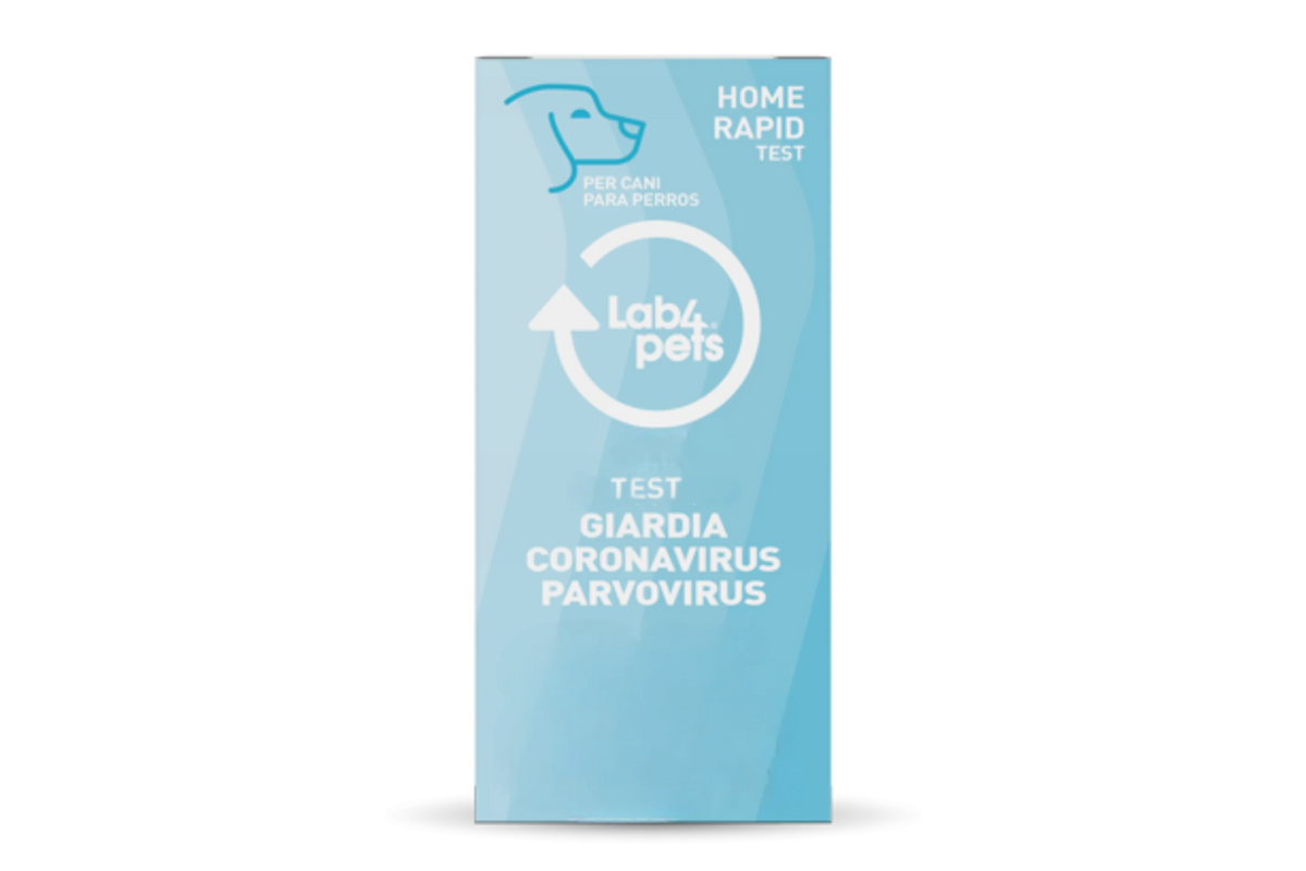 Test Rapido Giardia LAB4pets per Cani e Gatti