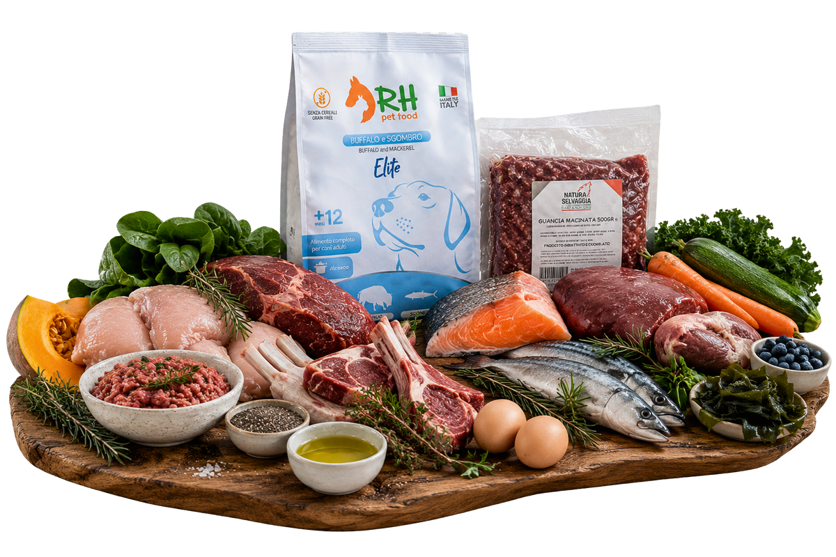immagine ingredienti sani e naturali barf caslinga artigianale crocchette grain free
