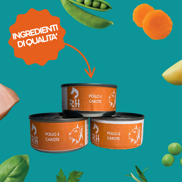 Cibo umido al naturale per gatti