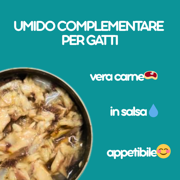 Cibo umido al naturale per gatti