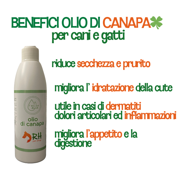 Olio di Canapa