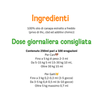 Olio di Canapa