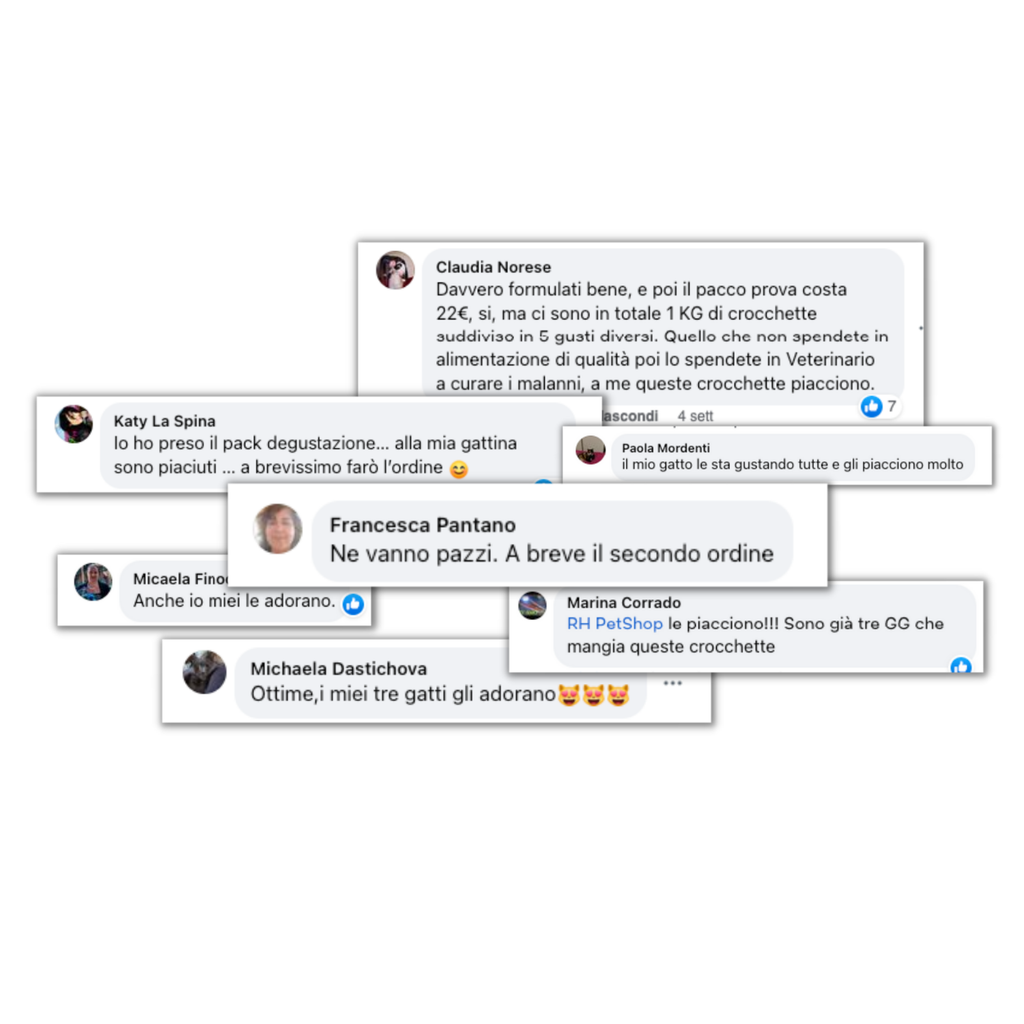 Cibo umido al naturale per gatti