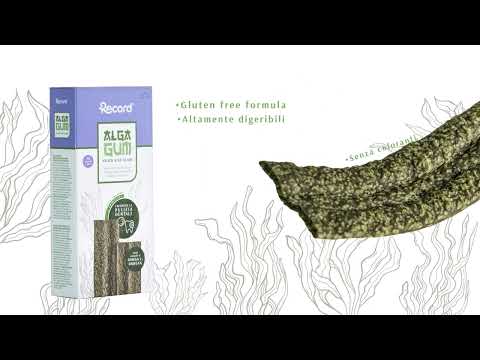 Alga Gum masticativo