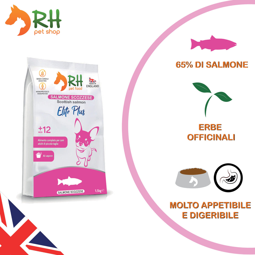 Salmone Scozzese mini Elite plus