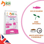 Salmone Scozzese mini Elite plus