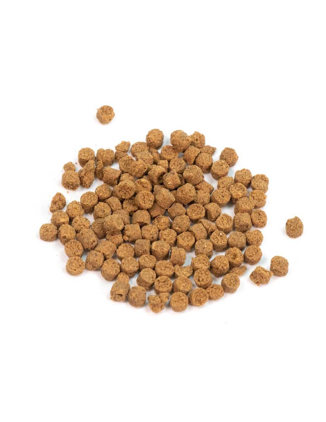 Snack Morbidi per Gatti