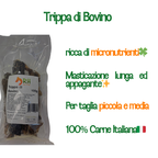 Trippa Bovina