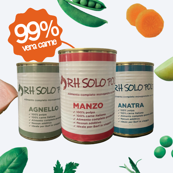 RH Solo Polpa lattine 400gr