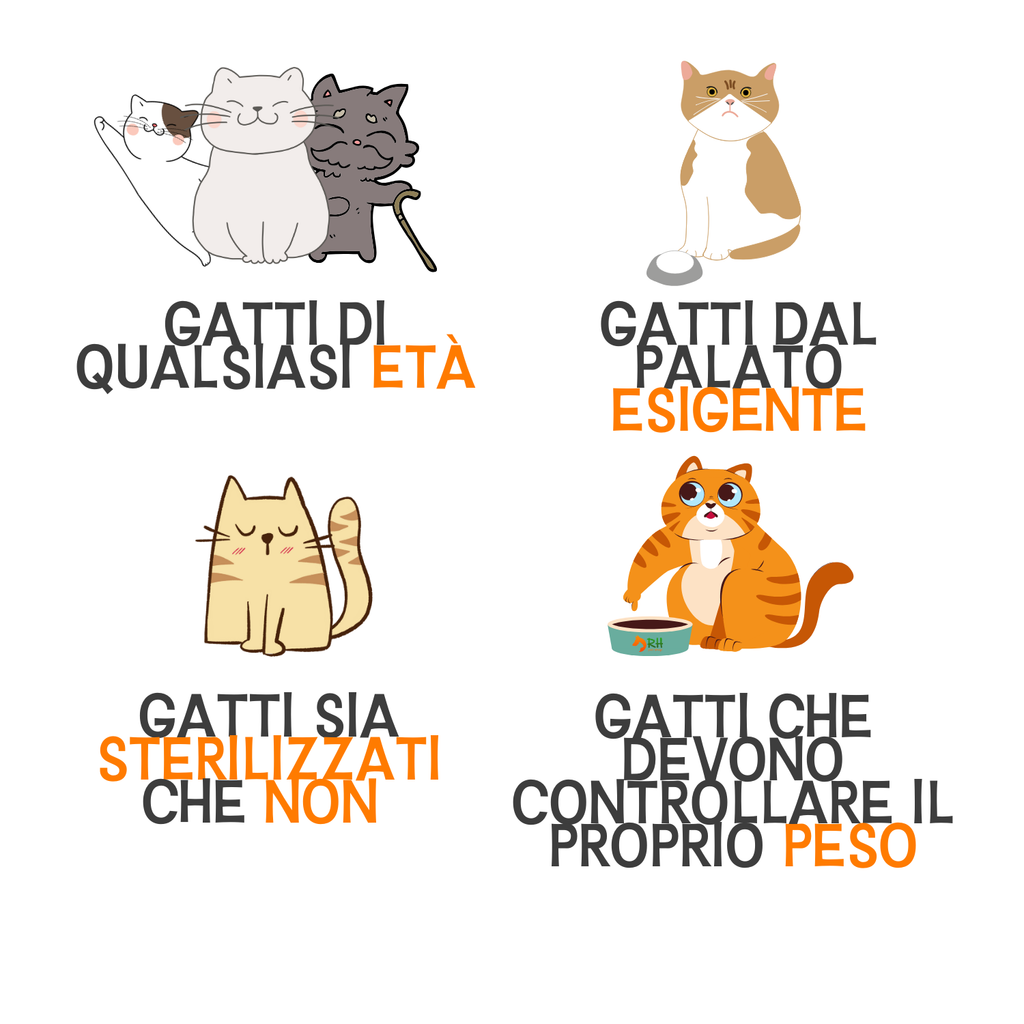 Cibo umido al naturale per gatti