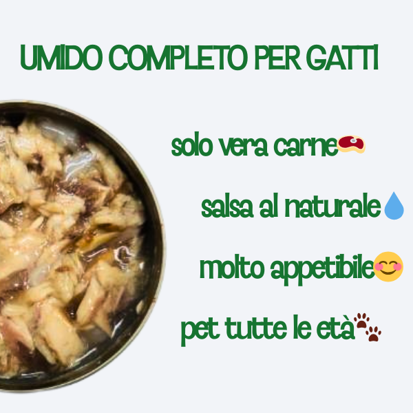 Cibo umido al naturale per gatti