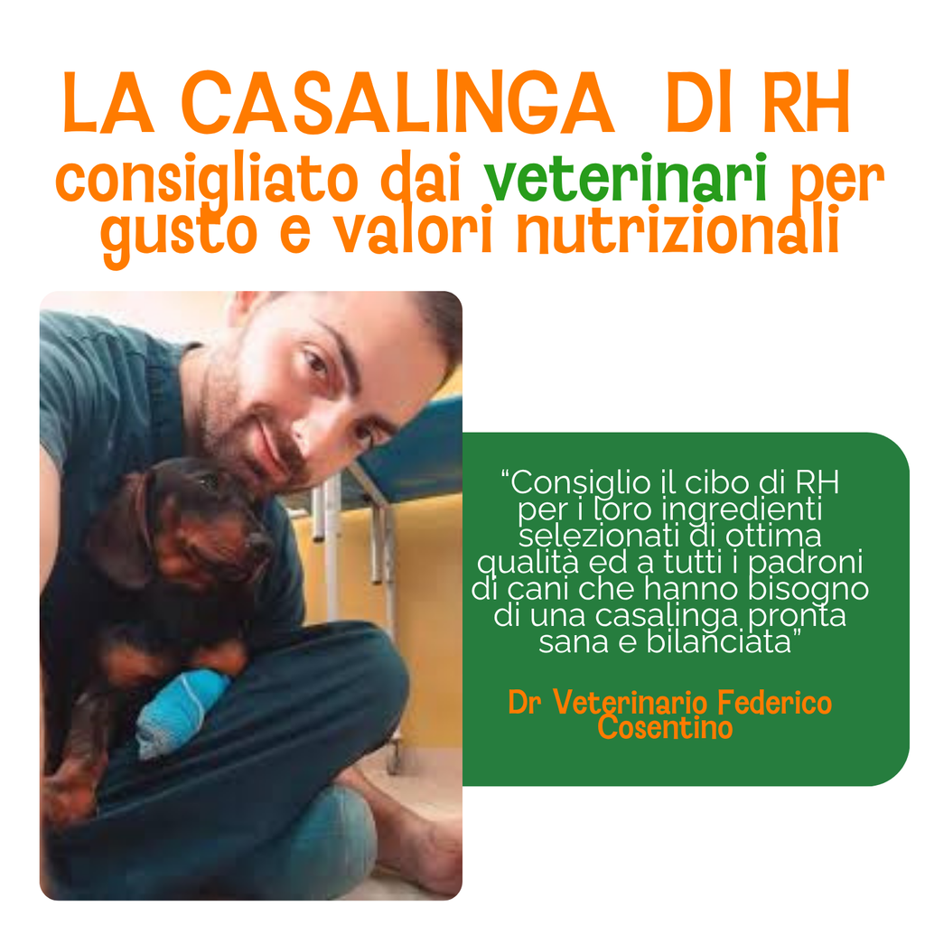Casalinga cotta Manzo (no frigo) Sottovuoto Per Gatti