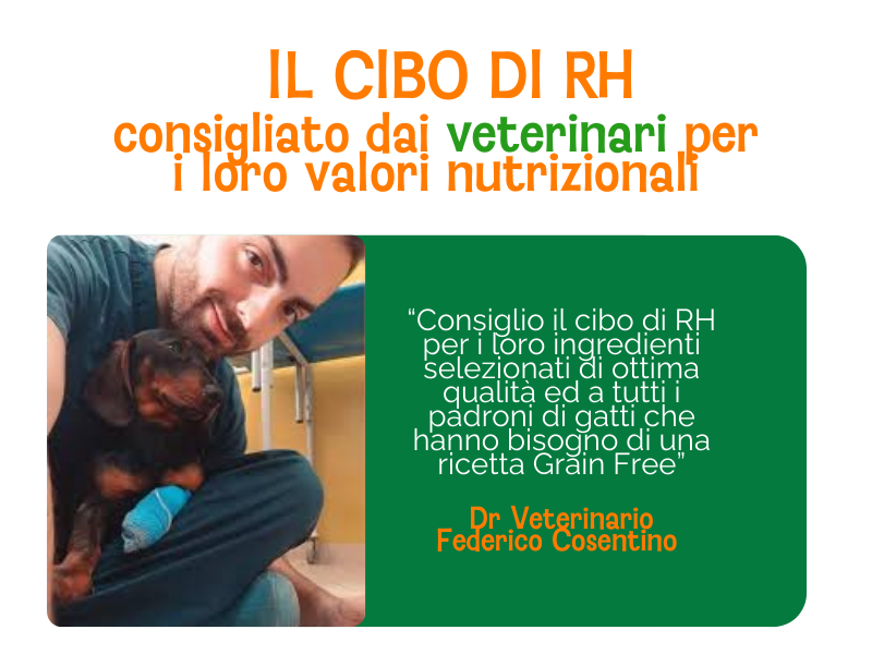 Cibo umido al naturale per gatti