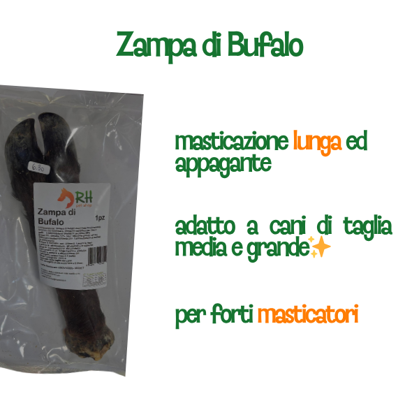 Zampa di Bufalo